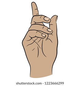 Isolated vector illustration. Two beautiful human hands in elegant pointing up gesture. Cartoon style.