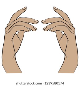 Isolated vector illustration. Two beautiful female Caucasian hands in elegant raised up gesture. Cartoon style.