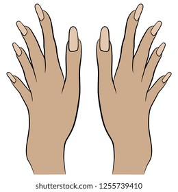 Isolated vector illustration. Two beautiful female Caucasian hands with long nails. Hand drawn linear sketch. Cartoon style.