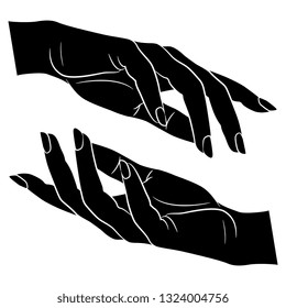 Isolated vector illustration. Two beautiful female hands in elegant gesture. Black and white linear silhouette.