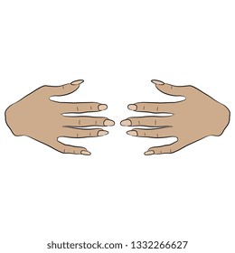 Isolated vector illustration. Two beautiful human female Caucasian hands with long nails. Cartoon style.