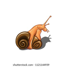 Isolated vector illustration of two embraced snails.