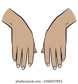 Isolated vector illustration. Two female Caucasian hands in elegant relaxed gesture. Cartoon style.