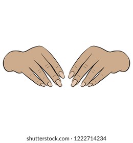 Isolated vector illustration. Two human Caucasian hands in holding gesture. Hand drawn linear sketch. Cartoon style.