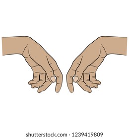 Isolated vector illustration. Two human female Caucasian hands in elegant relaxed gesture. Hand drawn linear sketch. Cartoon style.

