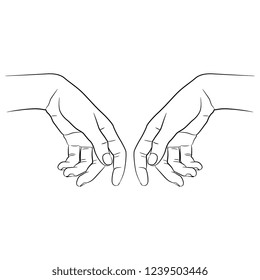 Isolated vector illustration. Two human female hands in elegant relaxed gesture. Hand drawn linear sketch. Black silhouette on white background.