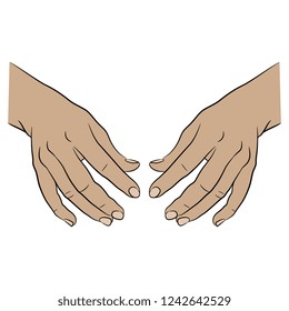 Isolated vector illustration. Two human female Caucasian hands in elegant holding gesture. Hand drawn linear sketch. Cartoon style.