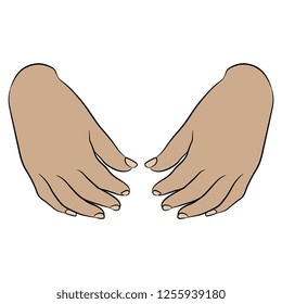 Isolated vector illustration. Two human female Caucasian hands. Hand drawn linear sketch. Cartoon style.