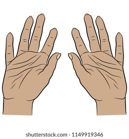 Isolated vector illustration of two raised human female hands with open palms. Hand drawn linear sketch. Cartoon style. 
