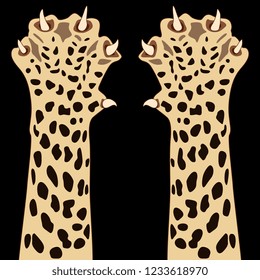 Isolated vector illustration. Two raised up paws of a cheetah or jaguar. Flat cartoon style. On black background.