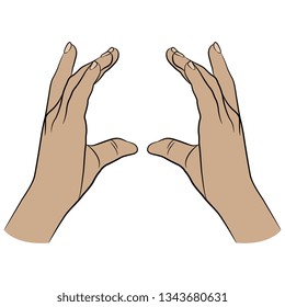 Isolated vector illustration. Two raised up human female hands in holding gesture. Hand drawn sketch. Cartoon style.