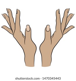Isolated vector illustration. Two raised up beautiful Caucasian female hands in excited gesture. Cartoon style.