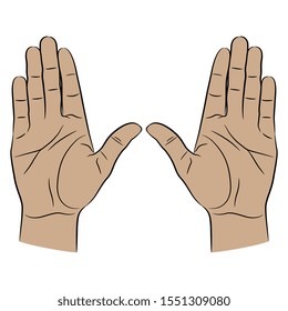Isolated vector illustration. Two raised up human hands with open palms. Cartoon style.