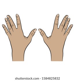 Isolated vector illustration. Two raised up human Caucasian female hands with open fingers. Top view. Cartoon style.