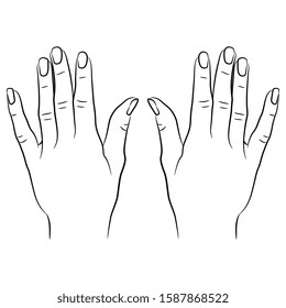 Isolated vector illustration. Two raised up human female hands. Top view. Black and white linear silhouette.