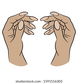 Isolated vector illustration. Two raised up Caucasian female hands with long nails. Cartoon style.