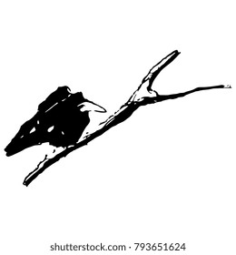 Isolated vector illustration of two ravens on a tree branch. Based on hand drawn doodle sketch.