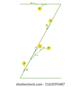 Isolated vector illustration. Uppercase capital letter "Z" with floral motifs. Buttercup or ranunculus flowers. 