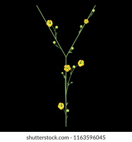 Isolated vector illustration. Uppercase capital letter "Y" with floral motifs. Buttercup or ranunculus flowers. On black background. 