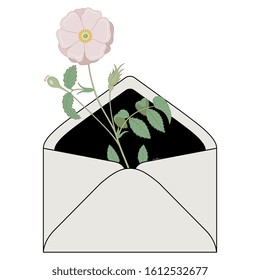 Isolated vector illustration. Vintage envelope with branch of wild rose inside. Romantic message.