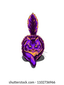 Isolated vector illustration of a violet fire cat sneaking with threatening golden eyes, front view.