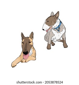 Isolated vector illustration of a web of dogs on a white background. Bull terrier as an icon, logo, template for a designer