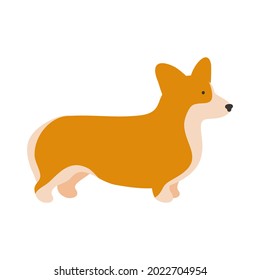 Isolated vector illustration of a Welsh corgi dog