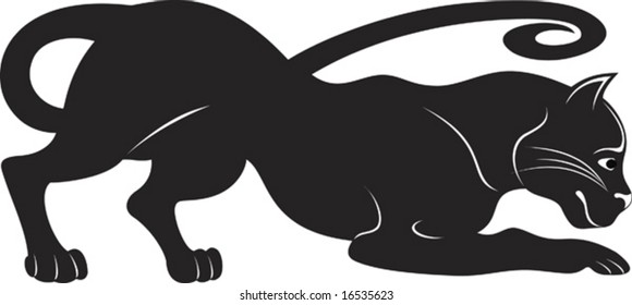 Isolated vector illustration of the wild cat or puma