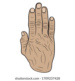 Isolated vector illustration. Wrinkled human hand of old aged person. Top view. Cartoon style.