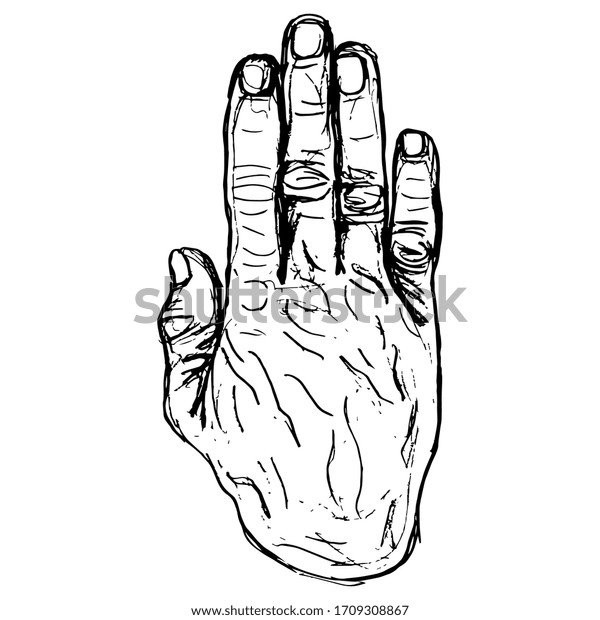 Isolated Vector Illustration Wrinkled Human Hand Stock Vector (Royalty ...