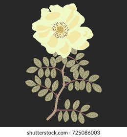 Isolated vector illustration of a yellow wild rose. Delicate floral motif on dark background.