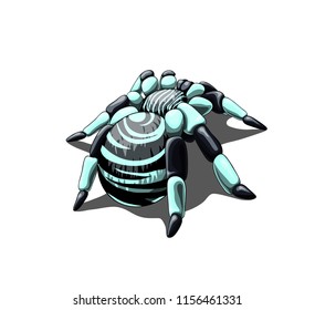 Isolated vector illustration of the zebra-like fancy spider.