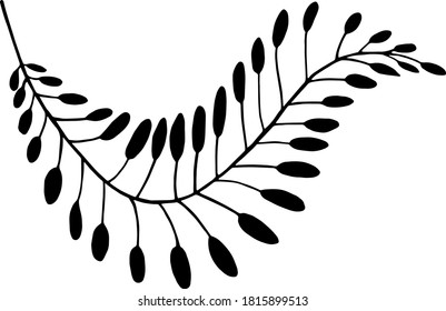 Isolated vector illustrations. Stylized branch of a plant with leaves. Black silhouette on a white background. Sticker, icon, design element for postcards, invitations, textiles.