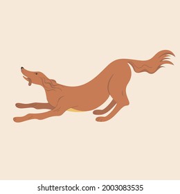 Isolated vector image of a dog on a light background. Pet. Hand drawing in flat style with line. 