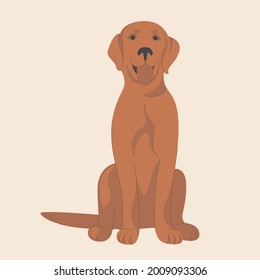 Isolated vector image of a dog on a light background. Pet. Hand drawing in flat style with line.