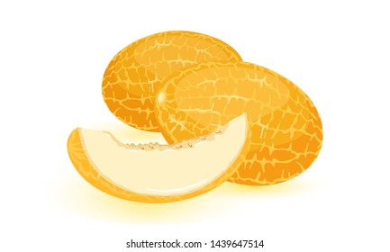 Isolated vector image shows orange ripe melons with cut juicy sweet slice cartoon style on white background