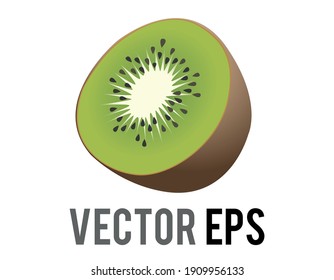 The isolated vector kiwi fruit icon with fuzzy, brown skin, light green flesh, white core and black seeds 