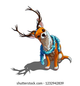 Isolated vector of a little cute chihuahua sitting with a blue christmas tinsel on its neck and pretending to be a Santa's deer.