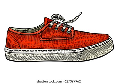 The isolated vector modern red sneakers, illustration