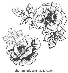 isolated vector object, set flower pattern Rose, leaves, drawing hands rose flower, black line