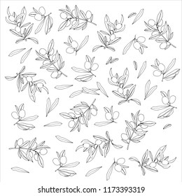 Isolated vector olives and olive branches on a white background, can be used for prints on wallpaper, textiles, postcards and cards on the theme of food, oil