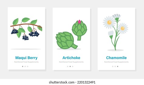 Isolated vector onboarding templates designs with herbs and berries. Vertical banners with nutritional food supplements.