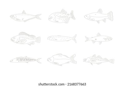 Isolated Vector Outline of a Fishes Collection 