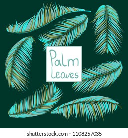 Isolated Vector Palm Leaves. Creative Tropic Foliage. Floral Elements Set. Illustration of Jungle Plants. Realistic Palm Leaves for Pattern, Wallpaper, Print, Fabric, Textile or Your Creative Design.
