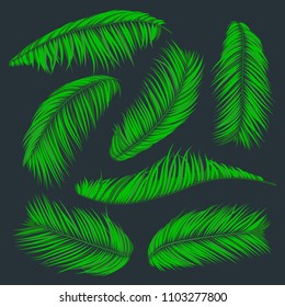 Isolated Vector Palm Leaves. Green Tropical Foliage. Floral Elements Set. Illustration of Jungle Plants. Realistic Palm Leaves for Pattern, Wallpaper, Print, Fabric, Textile or Your Creative Design.