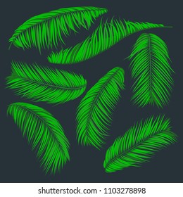Isolated Vector Palm Leaves. Green Tropical Foliage. Floral Elements Set. Illustration of Jungle Plants. Realistic Palm Leaves for Pattern, Wallpaper, Print, Fabric, Textile or Your Creative Design.