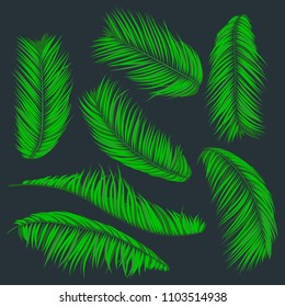 Isolated Vector Palm Leaves. Green Tropical Foliage. Floral Elements Set. Illustration of Jungle Plants. Realistic Palm Leaves for Pattern, Wallpaper, Print, Fabric, Textile or Your Creative Design.