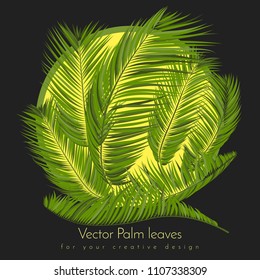 Isolated Vector Palm Leaves. Tropical Foliage. Floral Elements Set. Illustration of Jungle Plants. Realistic Palm Leaves for Pattern, Wallpaper, Print, Fabric, Textile or Your Creative Design.