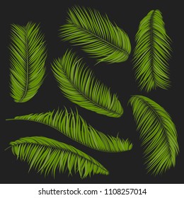 Isolated Vector Palm Leaves. Tropical Foliage. Floral Elements Set. Illustration of Jungle Plants. Realistic Palm Leaves for Pattern, Wallpaper, Print, Fabric, Textile or Your Creative Design.