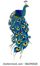 Isolated vector peacock on a white background with multi-colored feathers. The national symbol of India and Iran. Suitable for logo and template